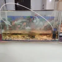 آکواریوم بزرگ