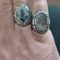 انگشتر  شجر