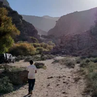 دوتا انگشتر گم کردم