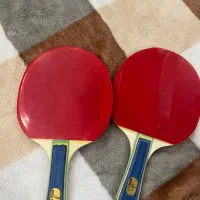 راکت تنیس روی میز|تجهیزات ورزشی|ارومیه, |دیوار