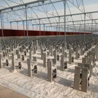 زیر بسترکشت گلخانه بتنی