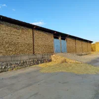 دامداری بزرگ و مجهز