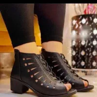 صندل 498 تومان