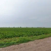 اجاره-زمین-کشاورزی-غرب-کرخه