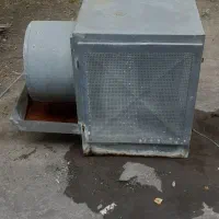 مه پاش