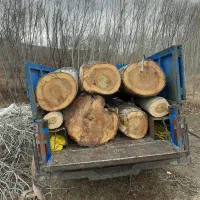 خرید چوب و درخت تر و خشک|خدمات باغبانی و درختکاری|کوثر, |دیوار