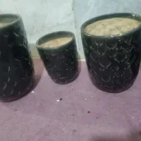 گلدان سفالی طرح قلب|گل و گیاه طبیعی|بندر ماهشهر, |دیوار