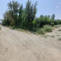 704متر-سند-شش-دانگ-بر-اصلی-جاده