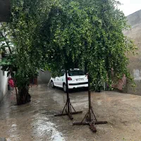 اجاره-واحد-ویلایی-طولا