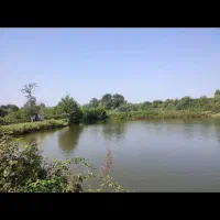 اجاره استخر ماهی ۳ هکتار برجاده /سوددهی عا،لی|فروش دفتر صنعتی، کشاورزی، تجاری|شفت, |دیوار