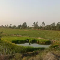 «۶هکتار زراعی+۱ هکتار آبندان یا فضایی رویایی»