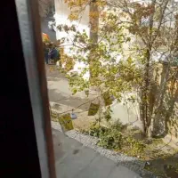 استخدام در کافی نت