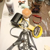 وسایل سگ پت|لوازم جانبی حیوانات|مشهد, نیروی هوایی|دیوار