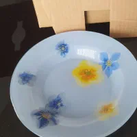 ظروف پذیرایی نوی نو