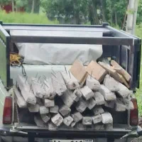 پایه باقی یا فنس