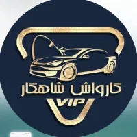 کارواش کار حرفه ای