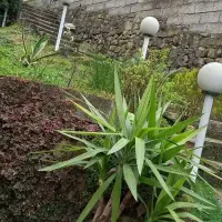 فروش-خانه-باغ