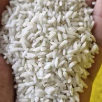 برنج اصیل ایرانی درج۱خرید بدون واسطه ازدرب کارخانه