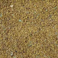 تخم یونجه|لوازم جانبی حیوانات|قم, تعویض پلاک|دیوار