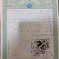 گلبهار-500متری-تحویل-جهت-باغچه