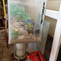 آکواریوم ماهی شیشهای|ماهی|گلبهار, شهر جدید گلبهار|دیوار