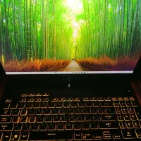 لپتاپ گیمینگ ایسوس  asus tuf gaming|رایانه همراه|شیراز, شهرک گلستان|دیوار