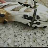 کفش استوک نو|کیف، کفش، کمربند|برخوار, |دیوار