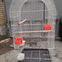 قفس پرنده
