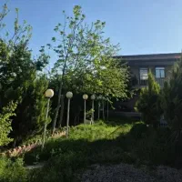 کلنگی تجاری خور با تراکم مناسب / سعدی