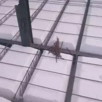 اجرای سقف تیرچه ، آرماتور ، دیوار باربری ، اسکلت