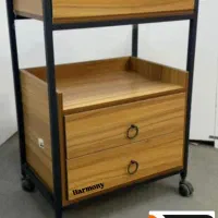 ترولی جذاب مختص سالن های حرفه ای