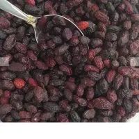 زغال اخته خشک  امساله گوشتی|خوردنی و آشامیدنی|قم, نیروگاه|دیوار