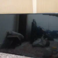 تلویزیون ۴۳ اینچ سام