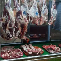 پخش گوشت|خوردنی و آشامیدنی|رشت, دیلمان|دیوار