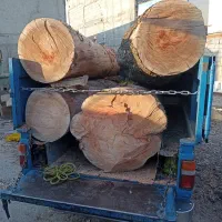 خریدار چوب هرس درخت|خدمات باغبانی و درختکاری|تهران, استاد معین|دیوار