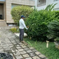 خدمات باغبانی فضای سبز|خدمات باغبانی و درختکاری|نوشهر, |دیوار