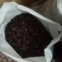 پرک لیمو وتخم لیمو و..|خوردنی و آشامیدنی|جهرم, |دیوار