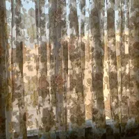 پرده حریر ۲ در ۲