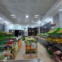 استخدام