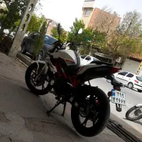 بنلی نیوفیس