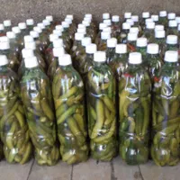 خیارشور اعلا بروجرد .بطری ۱/۵لیتری .لذید خوشمزه|خوردنی و آشامیدنی|تهران, حکمت|دیوار
