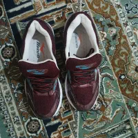 کفش|کیف، کفش، کمربند|سنقر, |دیوار