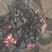 کربن زغال پوسته پوست پسته بادام زردآلو آلبالو