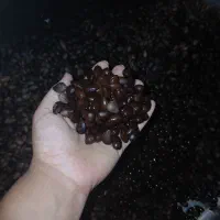 بادام