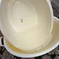 لگن|ظروف نگهدارنده، پلاستیکی، یک‌بارمصرف|پردیس, فاز ۱۱|دیوار