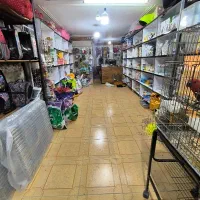 پت شاپ پارسی انواع لوازم سگ و گربه و پرنده