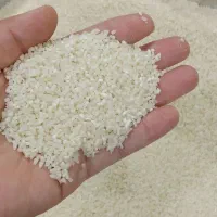 برنج طارم فریدونکنار درجه یک|خوردنی و آشامیدنی|مشهد, پنجتن|دیوار