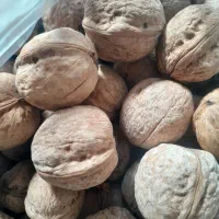 درجه یک|خوردنی و آشامیدنی|نهاوند, |دیوار