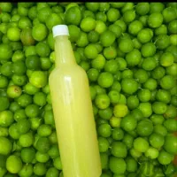 آبغوره گیری و سبزیجات آماده اسفندیاری|خوردنی و آشامیدنی|تربت‌حیدریه, بازار|دیوار