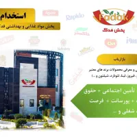 جذب بازاریاب ایرانشهر (آقا)
